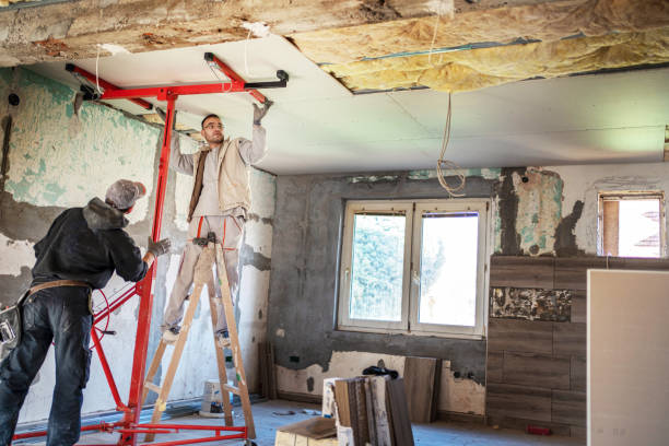 Best Insulation Maintenance and Repair in Morrison, IL