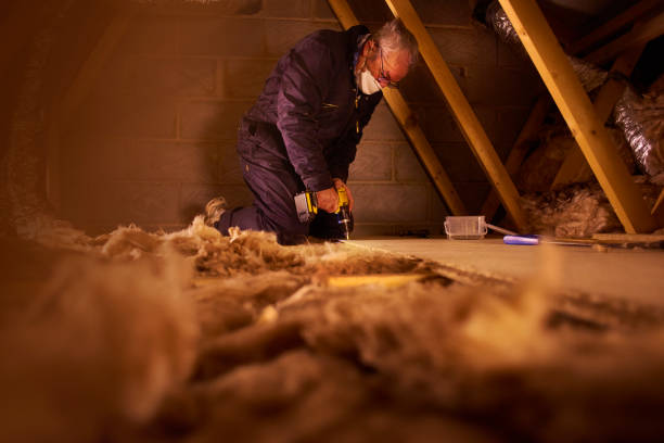 Best DIY Insulation Kits and Guidance in Morrison, IL